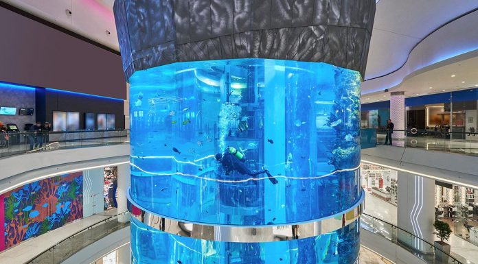 How the mall business can reinvent itself for the digital age