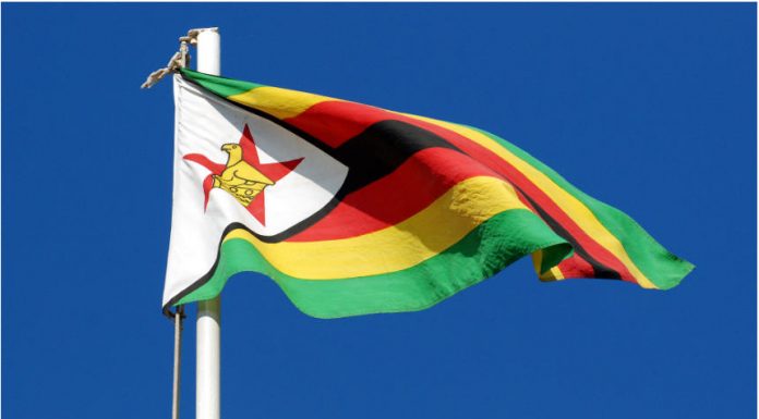 Zim needs $5bn annually for trade, finance
