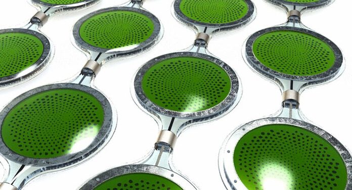 Scientists power fuel cells with living algae