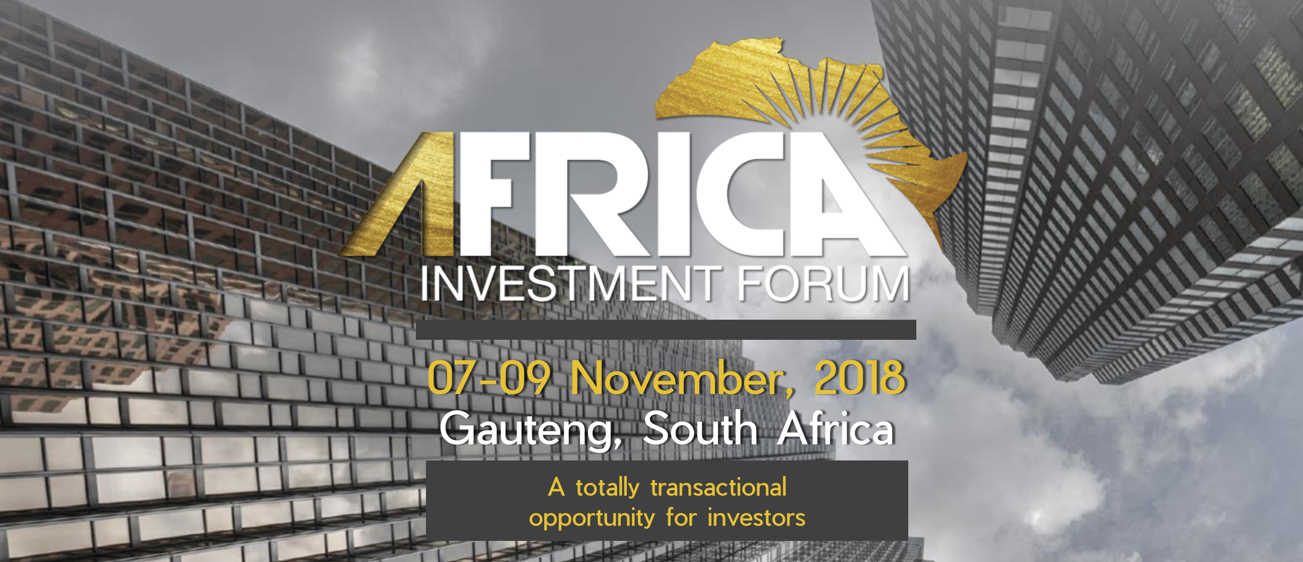 Africa Investment Forum