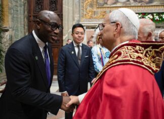 Pope Leo XIV’s Africa Visit Signals IIPPs as Pillar of Global Financial Architecture